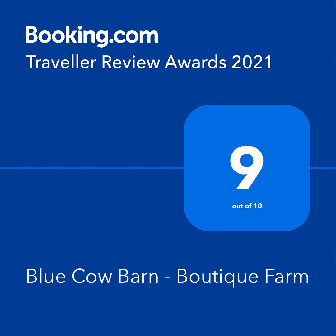 traveller review awards 2021