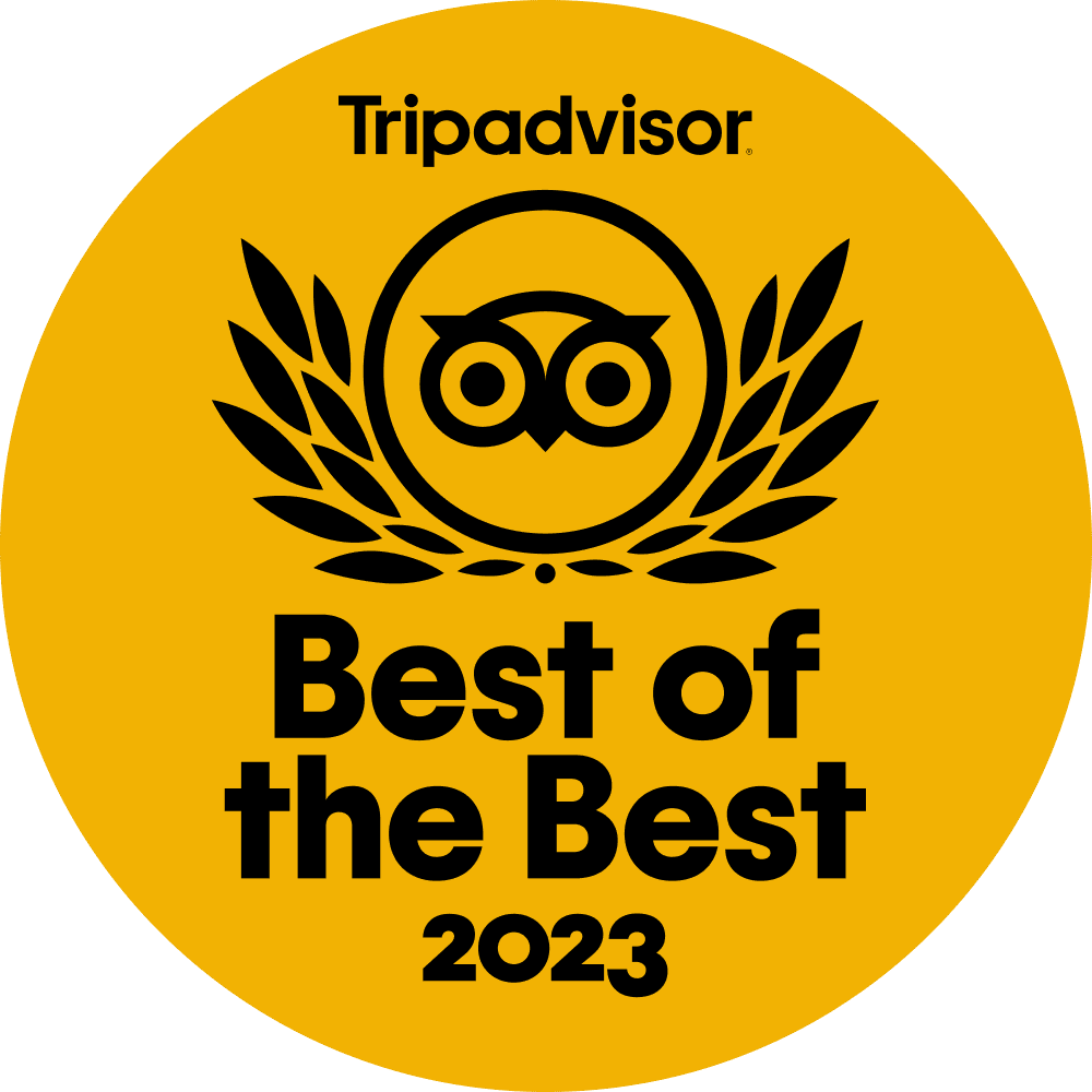 best of the best 2023 tripadvisor